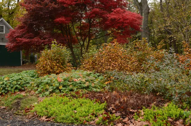 Rue Sherwood Landscape Design