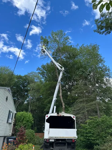 Pine Point bucket truck with boom extended