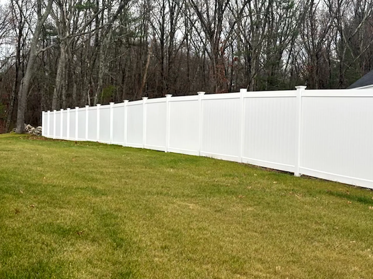 All Fenced In