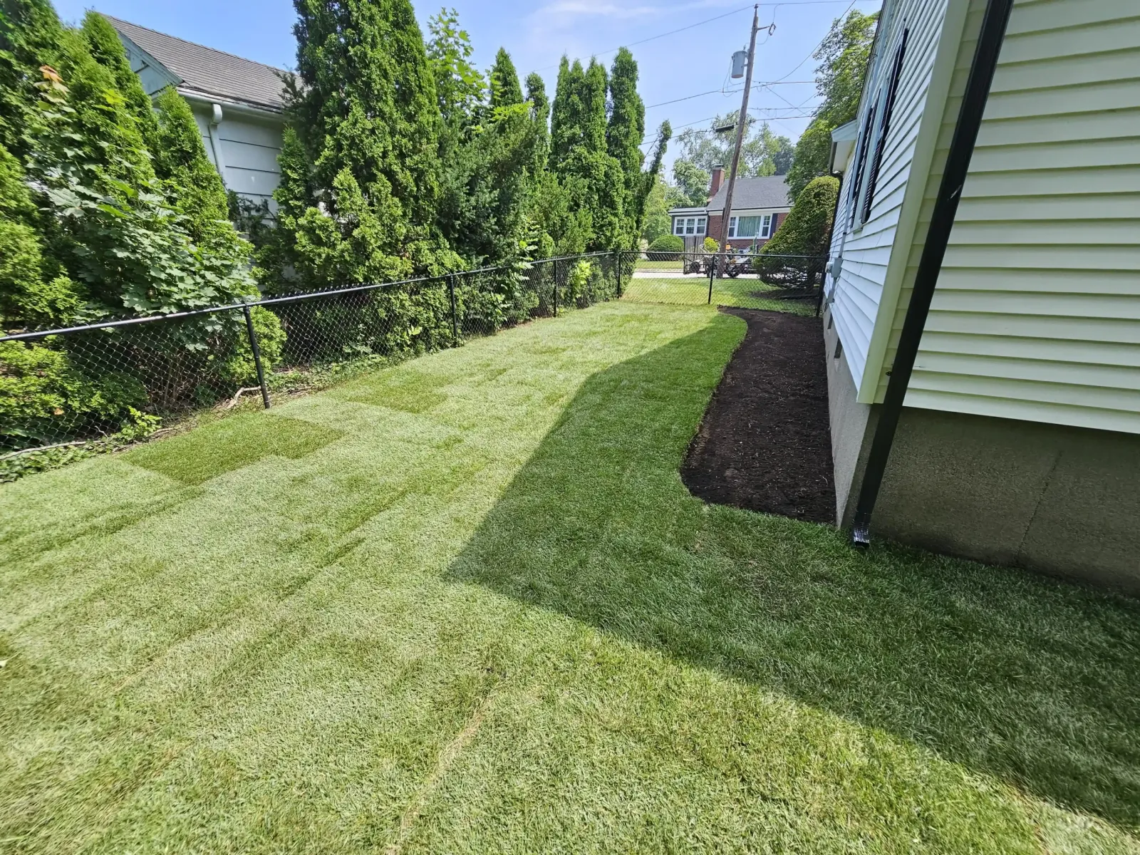 Narrow sunny side lawn beside a beige house with dark mulch on the right and tall evergreens behind a black fence on the left
