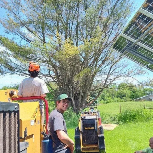 Two young men working outdoors near solar panels and a large tree on a bright, sunny day.