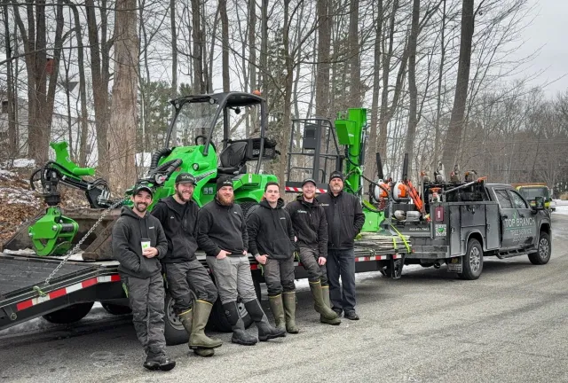 top branch tree service crew.jpg