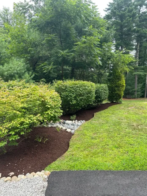 Landscaped garden with manicured green hedges, mulch bed, white gravel, and lush lawn bordered by mature trees