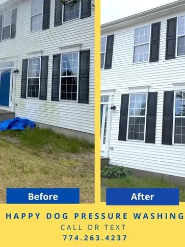 before after in ponds white house.jpg