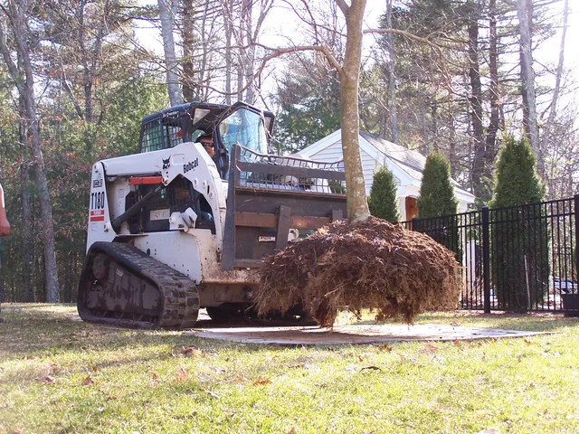 GARYS TREE AND LANDSCAPE SERVICE work photo
