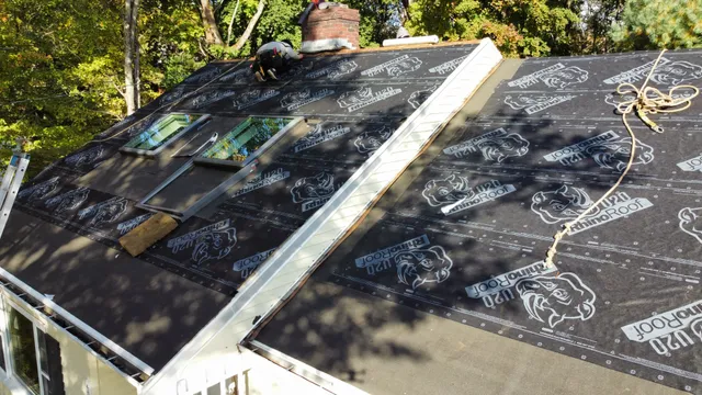 Roof underlayment with skylights