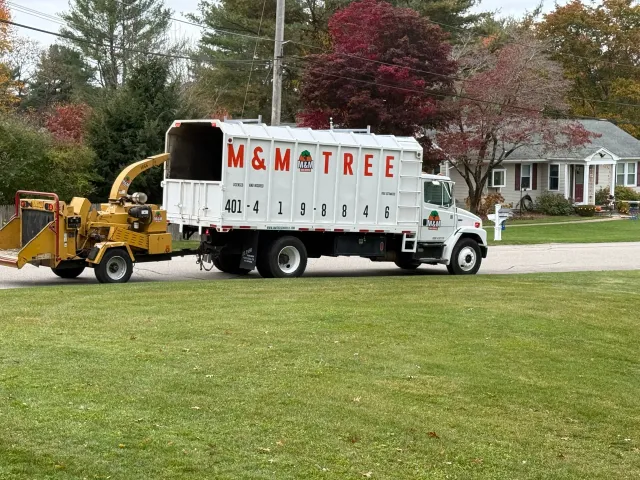work photo from mmtreeservicellc.com