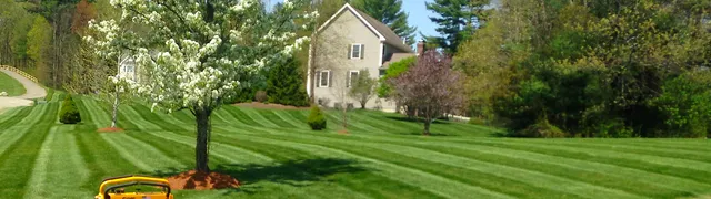 work photo from buccierolandscaping.com