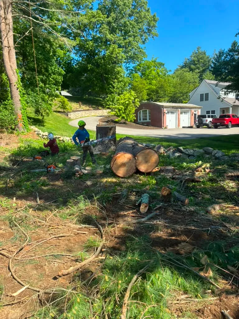 Adan Landscaping & Tree Services Inc