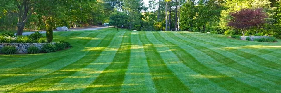 RESIDENTIAL LANDSCAPING