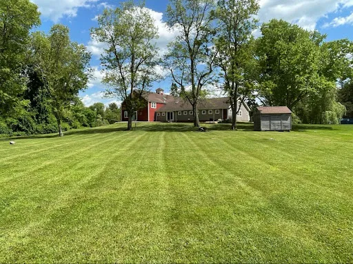 McCoy Lawn Care & Property Services work photo