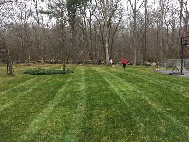 Lawn