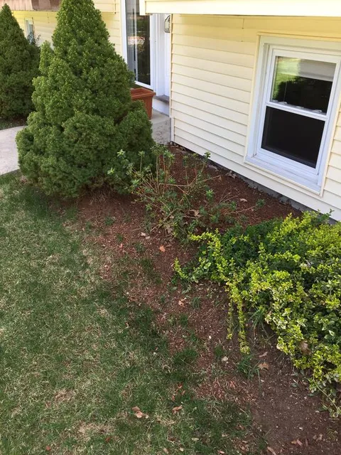 work photo from mebasslandscaping.com