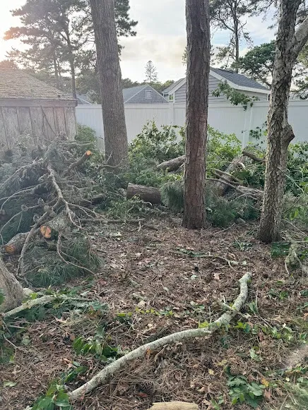 work photo from jmlandscapema.com