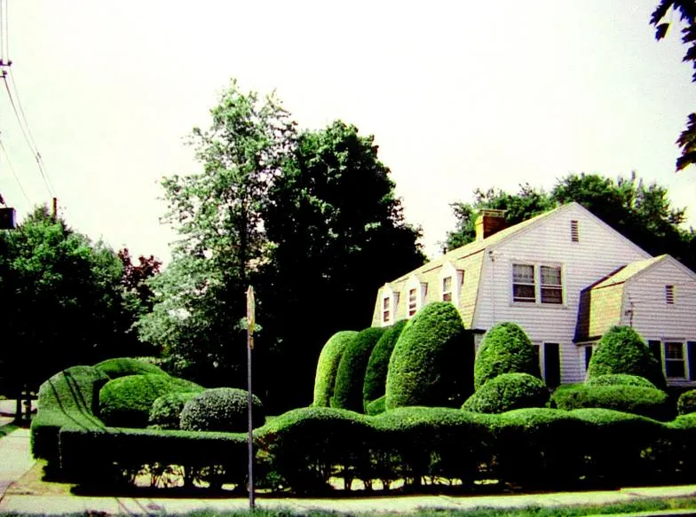 work photo from downinglandscapeservices.com