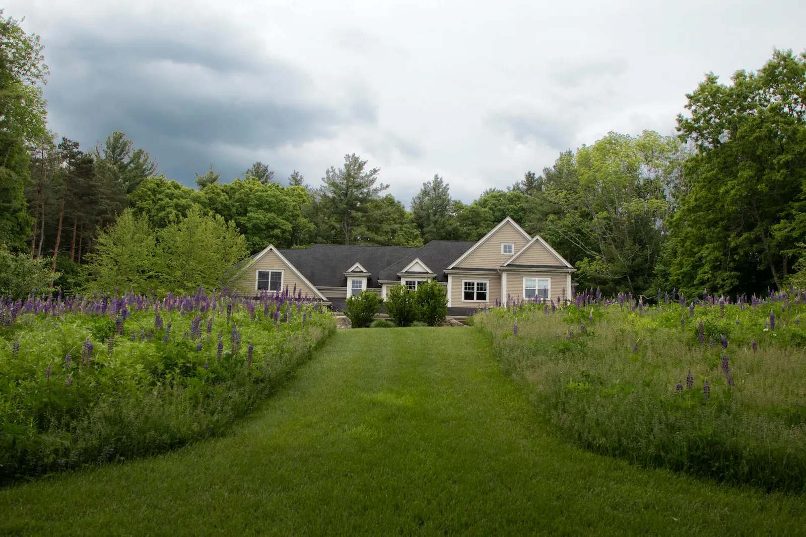 work photo from tjcollinslandscaping.com