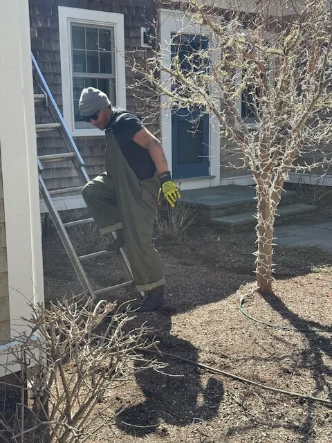 work photo from cleanmyroofllc.com