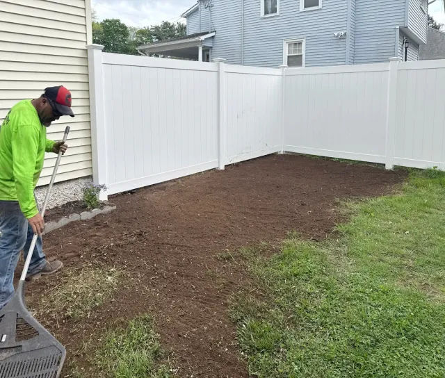 Lawn restoration after tree removal — Tree Wise Guys