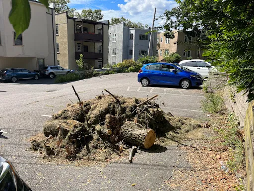 Trash Titans Junk Removal work photo