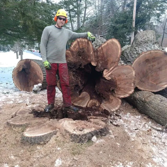 Whitney Tree Service work photo