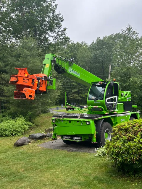 ADVANCED TREE SERVICE work photo