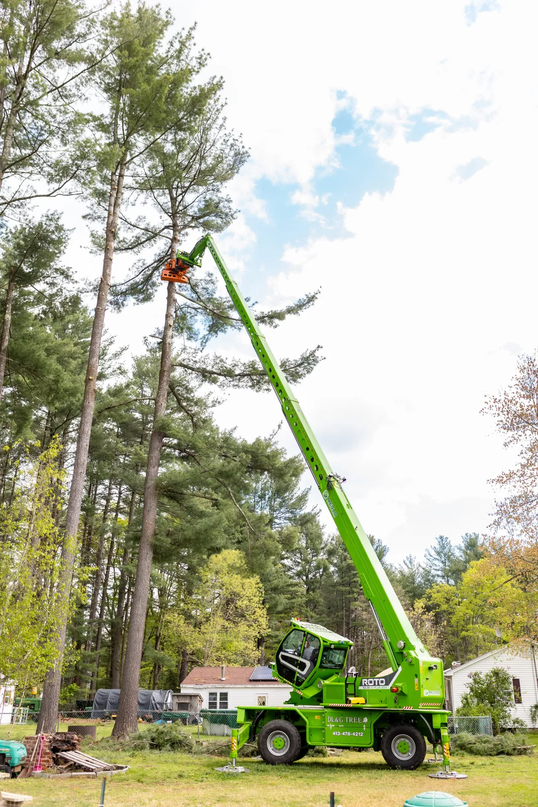 work photo from dlandgtree.com