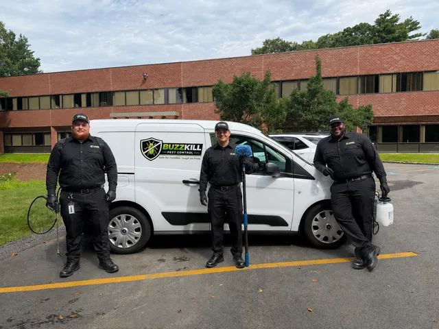 BuzzKill Pest Control work photo