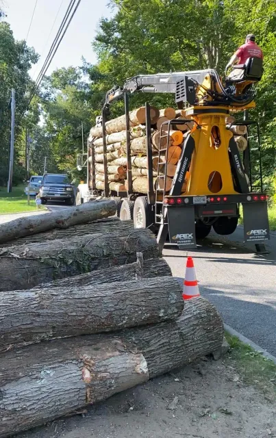 work photo from emltreeservices.com