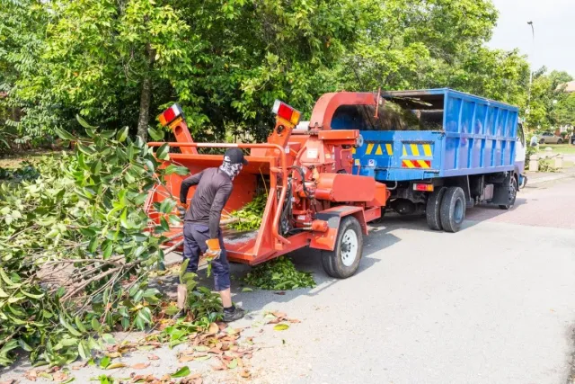 work photo from chicopeetreeservice.com