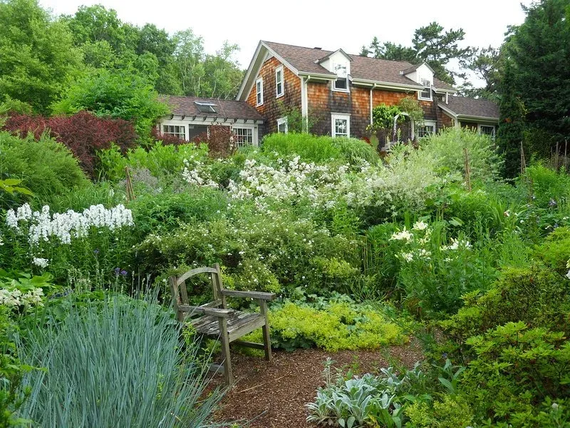 Blue & White Garden