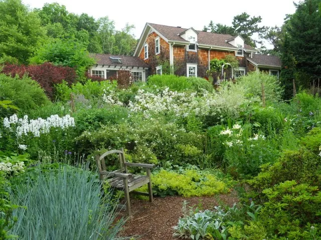 Blue & White Garden