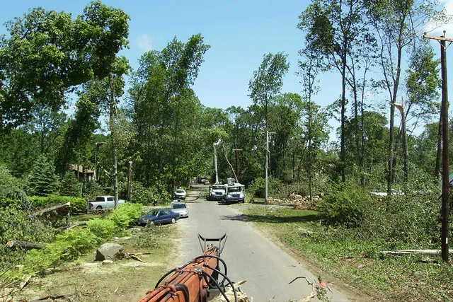 work photo from clearviewtreeserv.com