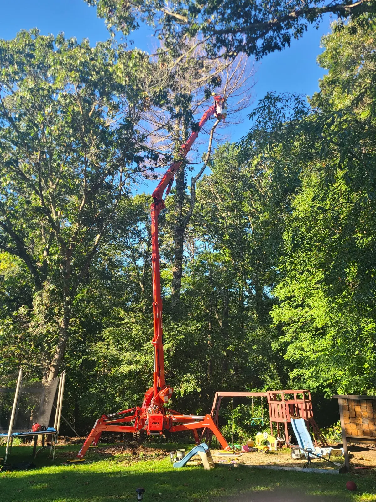 Notch Your Average Tree Service logo featuring tree trimming, removal, and maintenance for local customers.