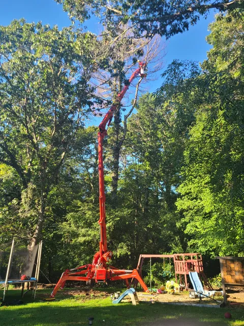 Notch Your Average Tree Service logo featuring tree trimming, removal, and maintenance for local customers.