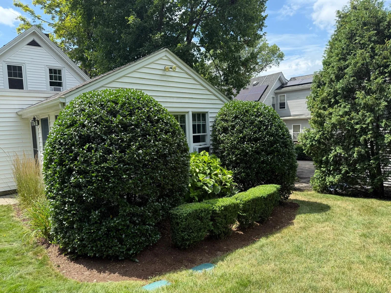 Lawn maintenance