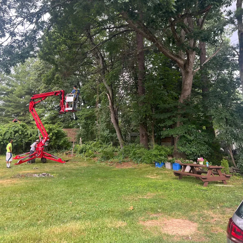 Outdoor tree trimming job in Hudson, MA with equipment and crew