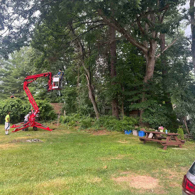Outdoor tree trimming job in Hudson, MA with equipment and crew