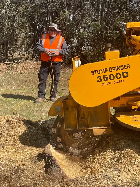 Ronnies Tree service work photo