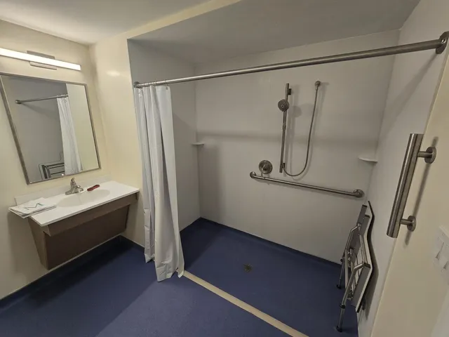 Accessible bathroom with grab bars, a hand shower and a roll-in shower area