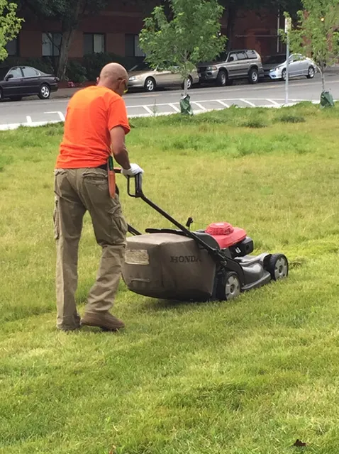work photo from anfalandscaping.com