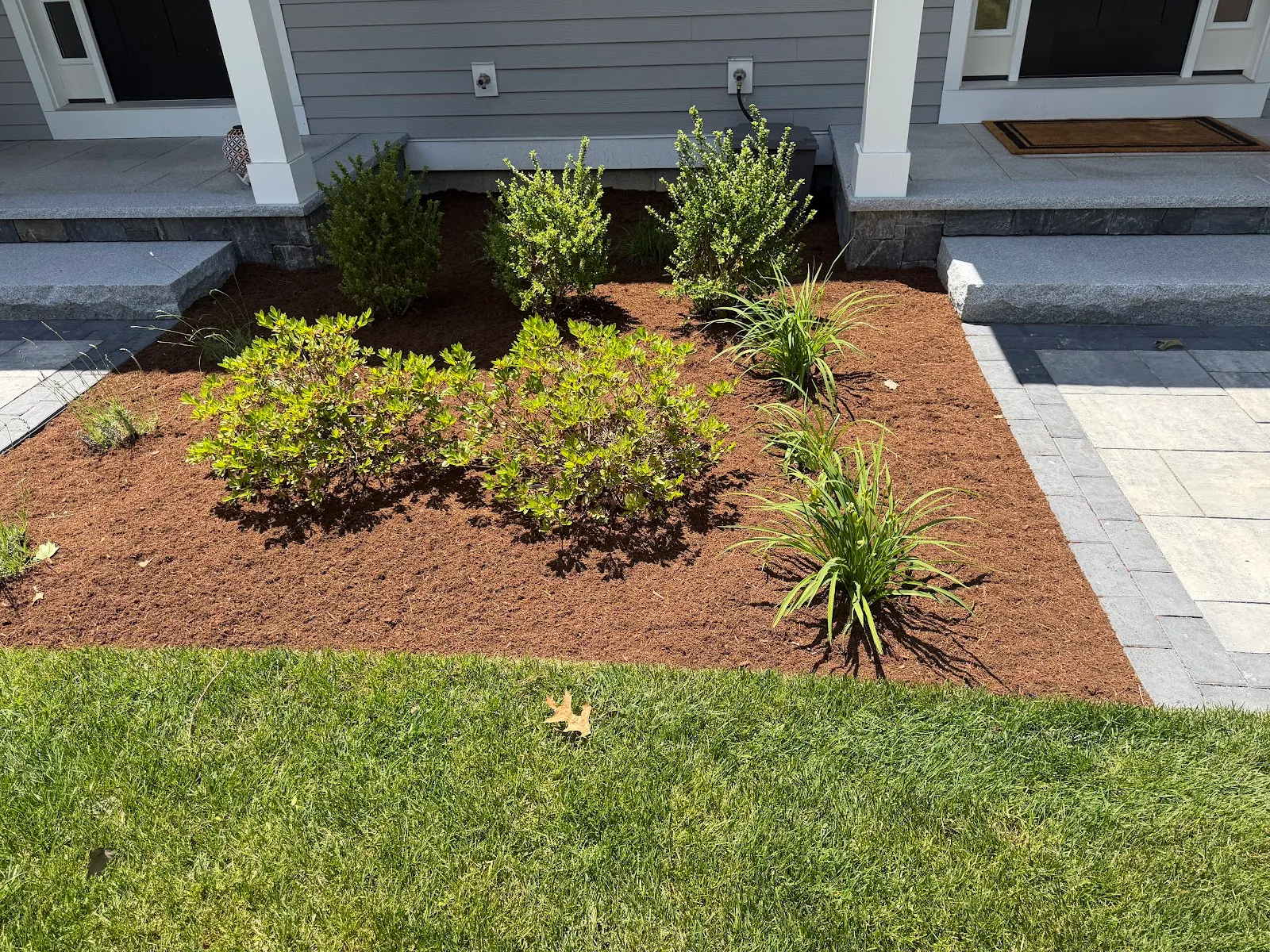 Vasquez Landscaping Services