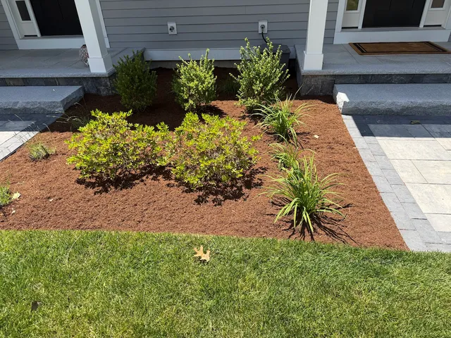 Vasquez Landscaping Services