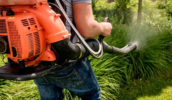 Mosquito & Tick Control