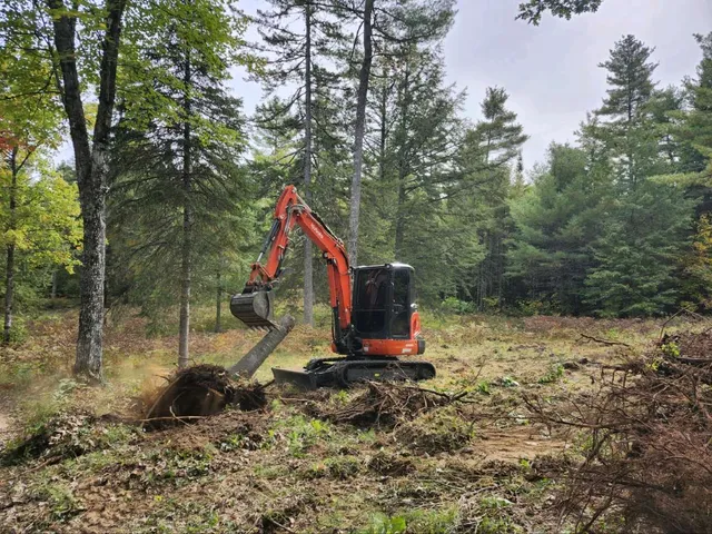 work photo from sapphirelandandtree.com