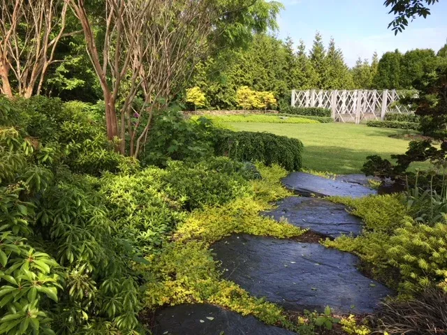 Landscape Design Photo