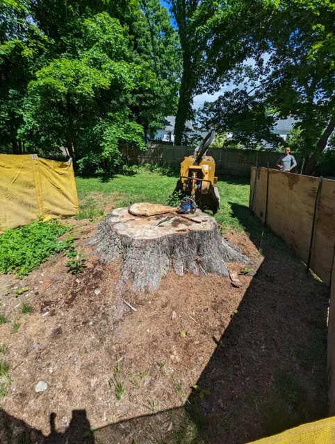 work photo from ezoutstumpgrinding.com