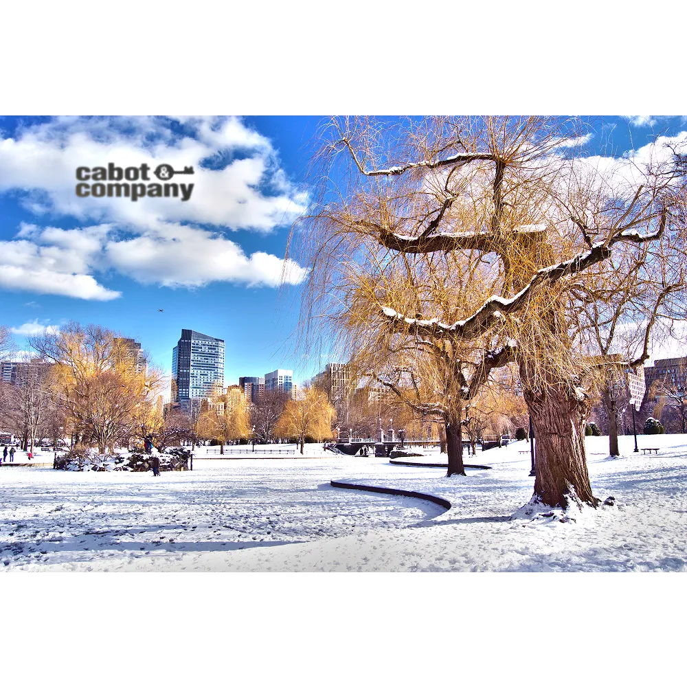 Cabot and Company Real Estate