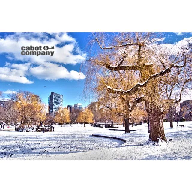 Cabot and Company Real Estate