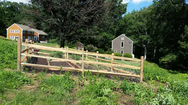 Small wooden fence on a grassy hillside with two houses and dense trees in the background.