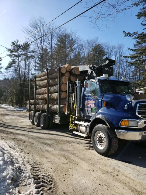 work photo from mccabeloggingandtreeservice.com